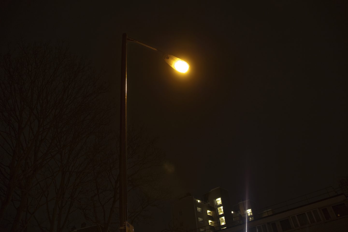 Lamppost, Light of my Life - South London Gallery