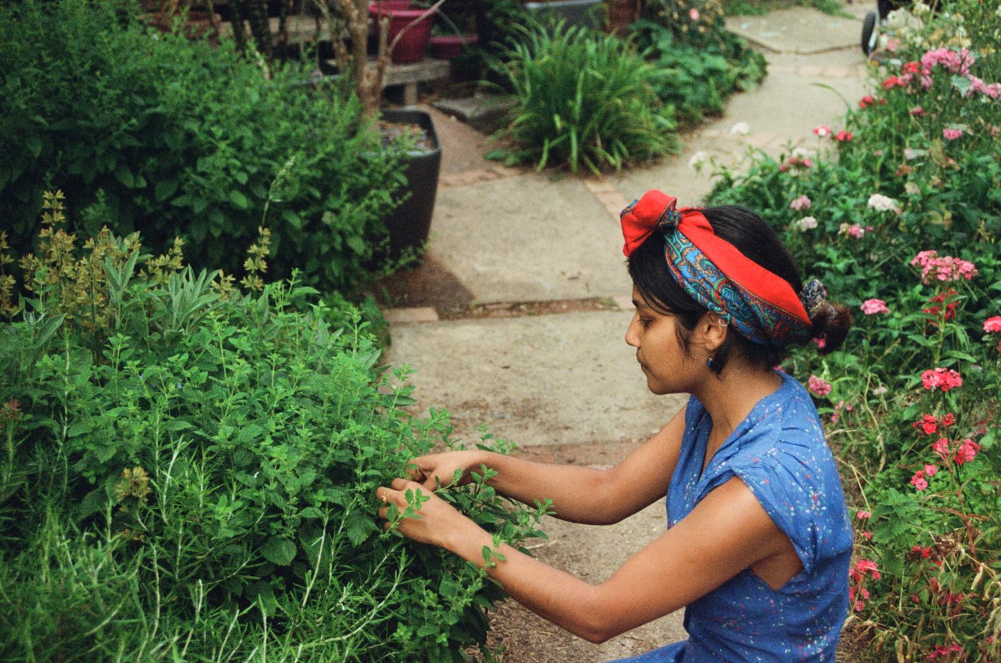 Community organiser, Maymana Arefin, tending to plants