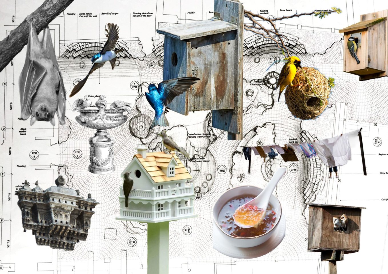 A collage with bird and bird houses. Behind the images of bird is a architecture plan for the South London Gallery's garden.